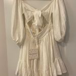 Hello Molly NWT  Espionage Dress Photo 6