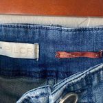 Anthropologie  Pilcro Darted High-Rise Skinny Jeans in Denim Dark Wash Photo 7