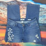 VINTAGE america boho crop jeans size 4/27 Photo 0