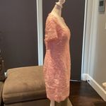 Women’s Pale Pink Lace Appliqué Short Sleeved Dress Size NWT Size L Photo 3