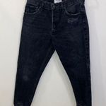 AGOLDE  Jamie High Rise Classic Black Cropped Ankle Jeans in Plume Size 29 Photo 0