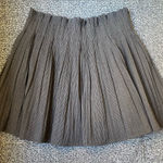 ZARA  Charcoal A-Line Pleated Skirt Photo 0