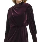 Karl Lagerfeld NWOT  PARIS Women's Velvet A –LINE Mock Neck Photo 3