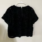 City Chic black 3D garden floral mesh cropped short sleeve blouse NEW XS/14 Photo 6