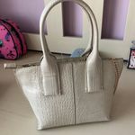 ZARA NWT MINI CITY CROSSBODY BAG- Fawn Photo 3