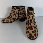Cole Haan Joanna genuine calf hair booties in jaguar hai size 8.5B Photo 1