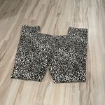 Ann Taylor  leopard modern fit jeans 6p Photo 5