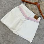 Levi's Levi’s Premium Women’s Ribcage Denim Mini Skirt Rainbow Embroidered in Ecru 29 Photo 6