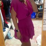 Impeccable Pig Dress Photo 1