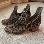Gianni Bini  Leopard Print Ankle Booties with Silver Studs Photo 3
