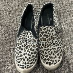 Tommy Bahama  Photo 1