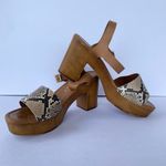 Anthropologie  Seychelles Jump For Joy Platform Sandal Beige Python Size 9 Photo 3