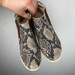 Coconuts by Matisse COCONUTS Snakeskin Print Slip On Sneakers Ankle Fashion Casual Shoes Photo 1