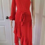 Belle Badgley Mischka  Bailey Asymmetrical Dress Size 4 Photo 0