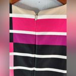 Eliza J  6 Contemporary Fitted Striped Knee Length Dress in Pink n Black Photo 3