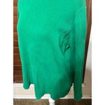 Ralph Lauren Lauren  Woman’s Ribbed Knit Turtleneck Sweater 2X Cotton Kelly Green Photo 2