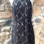 Sans Souci High Neck Black & Tan Lace Midi Dress Photo 0