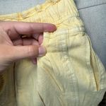 We The Free Sundown Parachute Shorts Photo 5