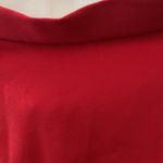 Karin Stevens FINAL MARKDOWN Ladies'  Skirt (16W) Photo 1