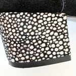 LOGO By Lori Goldstein LOGO Lori Goldstein Polly Black Suede Grommet Boot Size‎ 8.5 Funky Art to Wear Photo 3