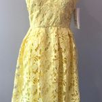 Lord and Taylor Design Lab - Lace Dress - XS - NEW Photo 0