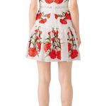 Alexis  Blossom White Red Floral Embroidered A-Line Sleeveless Mini Dress Sz S Photo 1