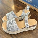 Soda Shoes Cutestttt Snakeskin Shoes From Martins  Photo 0