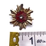 Vintage enamel starburst brooch pin Red Photo 3