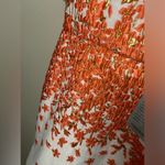 Chi Chi London Dress Photo 1