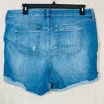 Torrid 5 Inch Vintage Stretch High Rise Short Jean Denim Size 20 Medium Wash Photo 1