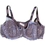 Lane Bryant Cacique Seriously Sexy Purple Lace Underwire Balconette Bra Size 42DDD Photo 3