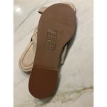 Everlane  The Day Twist Sandals in Warm Khaki 8 New Womens Slides Photo 7