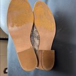 Ccocci  Snakeskin Ankle Booties in Black and Cream Photo 9