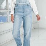 NWT Insane Gene Mom Fit Overalls Size Medium Blue Photo 0