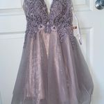 Gianni Bini Dress Photo 0