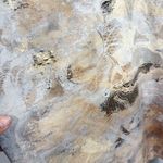 Athleta Shanti Gilded Gold Tank Top Medium NWT Photo 4