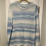 Gap Size L Blue Ombré Stripe Long Sleeve Crew Beck Loose Knit Pullover Sweater Photo 0