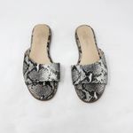 [Yosi Samra] Constantine Snake Python Print Slip On Slides Flat Sandals Size 9 M Black Photo 9