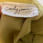 Carly Jean Los Angeles Sports bra Photo 2