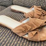 Ann Taylor  slides Photo 6