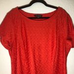 Sharagano Dress Photo 6