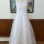 Pretty New Lenovia Organza Prom/Quinceanera/Wedding Gown! Size XXL Photo 0