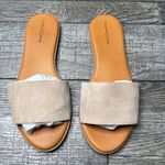 Treasure & Bond  Tan Suede Slide Sandals Photo 4