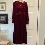 In Loom  velvet castlecore long sleeve maxi dress Photo 7