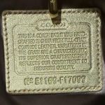 Coach  North South Metallic Woven Leather Gold Leather Shoulder Bag Tote F17099 Photo 7