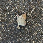 Shoe charm, funny cat Photo 0