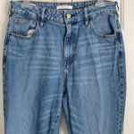 PacSun  Mom Jeans Size‎ 30 Blue High Rise Photo 1
