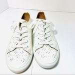 Loft  Off White Eyelet Sneakers Photo 3