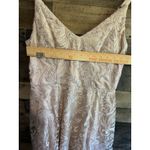 Xtraordinary Nwt  Dress Junior‎ Size 13 Nude Fit and Flare Dance Homecoming Event Photo 5