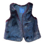 American Eagle Outfitters Faux Fur Vest Lined Women's Size Medium Photo 0